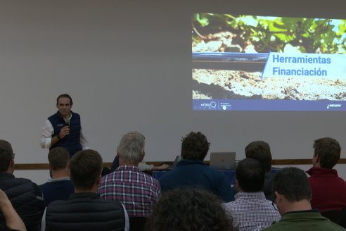 IRRIGATIO Riego & Energia: Jornada de Riego y Nutrición por goteo subterraneo en Villaguay