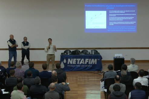 El riego por goteo subterráneo es una opción de fuste para multiplicar los rindes de los cultivos tradicionales