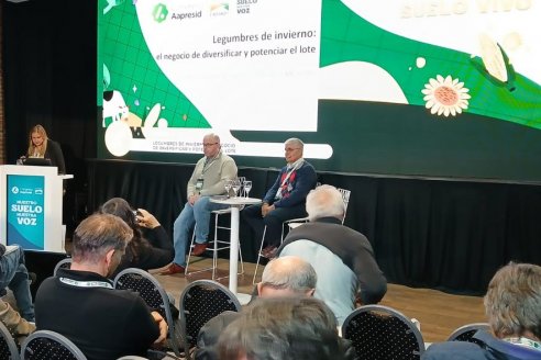 Legumbres de invierno: potencial para diversificar y fortalecer los sistemas productivos