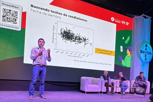 El trigo desafió sus límites en Rosario: innovación genética y manejo de precisión