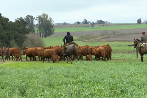 Visita a Cabaña Malaika : Previa al 5° Remate Anual