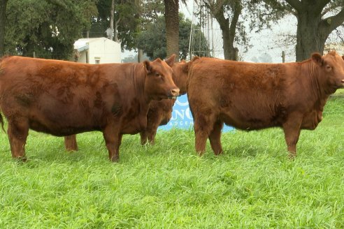 Visita a Cabaña Malaika : Previa al 5° Remate Anual