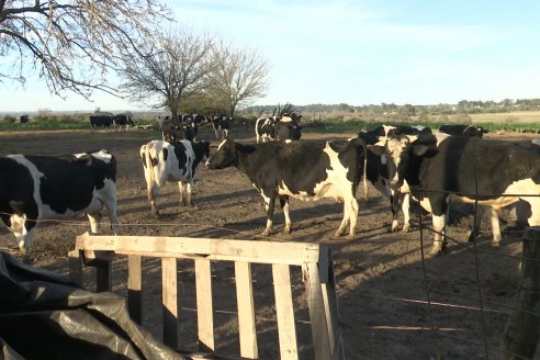 Sauce Montrull: la tierra donde la leche marcaba el pulso de la vida