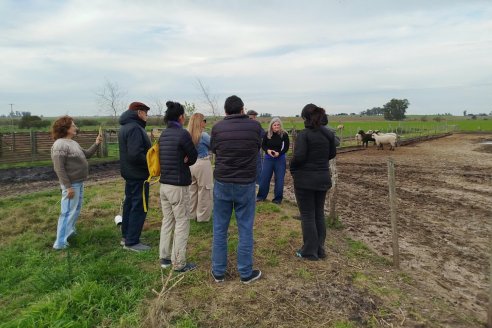 Gestionan fondos globales para invertir en producciones familiares