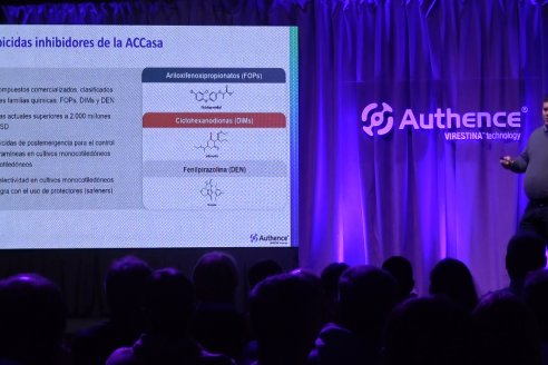 Lanzamiento de Authence® de Syngentan en Paraná