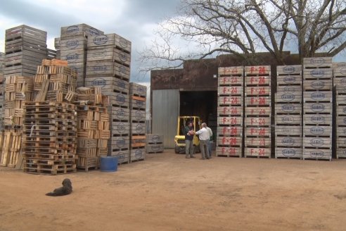 Visita a Establecimeinto Citricola El Aroma - Colonia Roca, Departamento Concordia