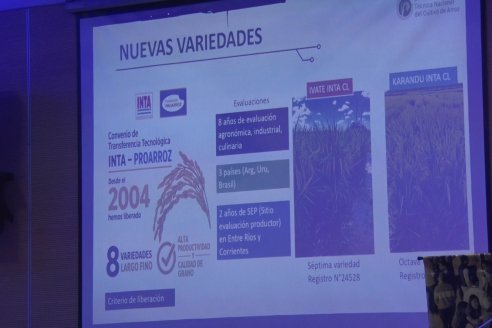 Postales de la 37° Jornada Técnica Nacional del Cultivo de Arroz - Concordia, Entre Ríos