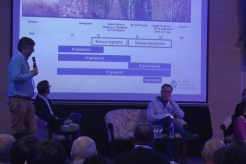 Postales de la 37° Jornada Técnica Nacional del Cultivo de Arroz - Concordia, Entre Ríos