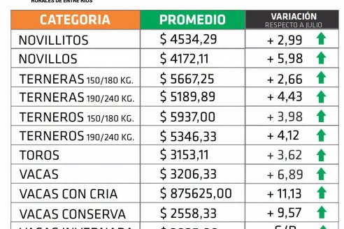 Las vacas con cría marcaron récord de precios durante agosto