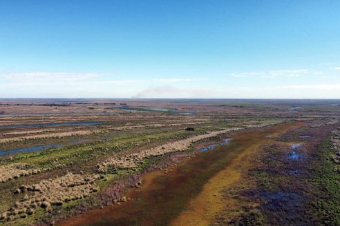 El fuego acecha en el Delta, pero avisan que lo tienen bajo control