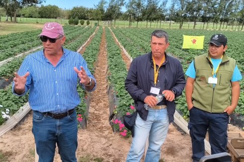 Postales Productivas del 3° Encuentro de Periodistas Agropecuarios en Bella Vista, Corrientes