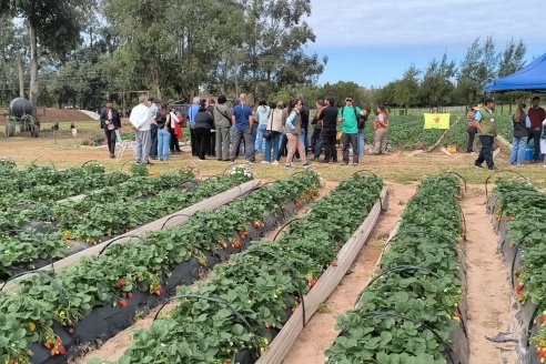 Postales Productivas del 3° Encuentro de Periodistas Agropecuarios en Bella Vista, Corrientes