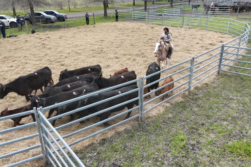 Visita a Estancia Don Pastor - Lucas Norte, Entre Rios - Previa al 21° Remate Anual Angus y 1° Brangus