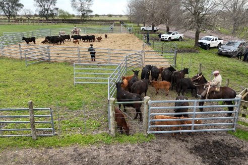 Visita a Estancia Don Pastor - Lucas Norte, Entre Rios - Previa al 21° Remate Anual Angus y 1° Brangus