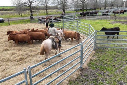 Visita a Estancia Don Pastor - Lucas Norte, Entre Rios - Previa al 21° Remate Anual Angus y 1° Brangus
