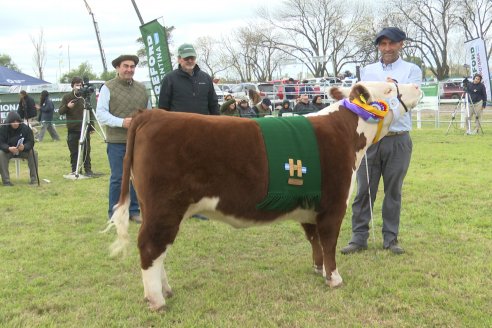 Postales de la 39° Exposición Nacional Hereford en Sociedad Rural de Gualeguaychú
