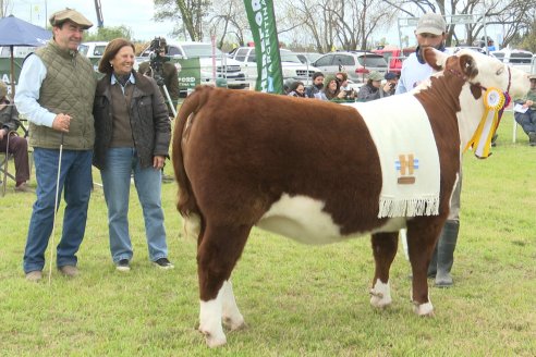 Postales de la 39° Exposición Nacional Hereford en Sociedad Rural de Gualeguaychú
