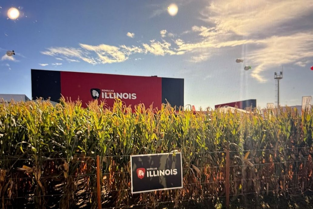 ILLINOIS Semillas estará presente en 5to.Congreso Internacional de Maiz