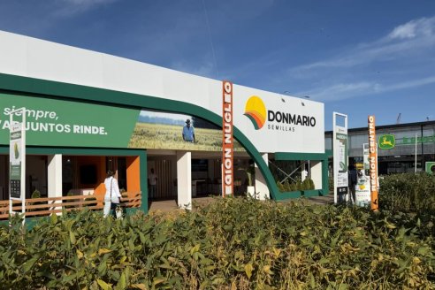 Como aprovechar un año Niño según los especialistas de DONMARIO