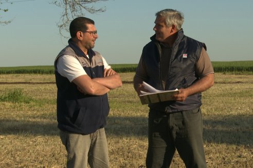 Chacra 100 - Valle Maria, Entre Rios - Preparativos para la Fiestra Provincial del Trigo