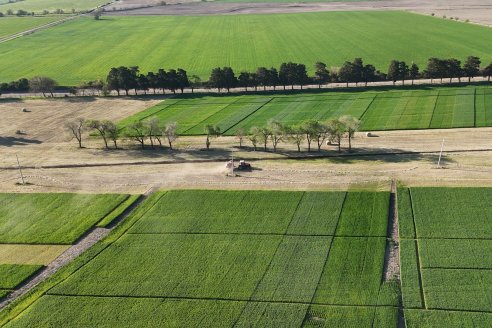 Chacra 100 - Valle Maria, Entre Rios - Preparativos para la Fiestra Provincial del Trigo