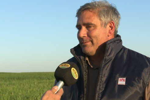 Chacra 100 - Valle Maria, Entre Rios - Preparativos para la Fiestra Provincial del Trigo