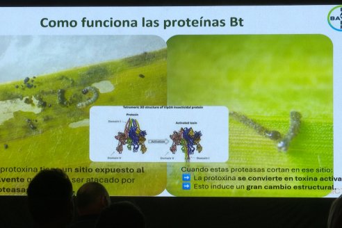 Lazamiento VAYEGO de Bayer para Entre Rios y Santa Fe - Hotel Howard Johnson, Paraná