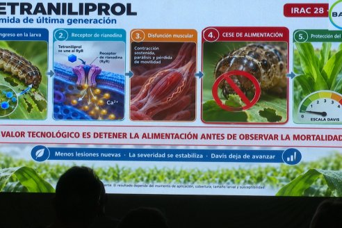 Lazamiento VAYEGO de Bayer para Entre Rios y Santa Fe - Hotel Howard Johnson, Paraná