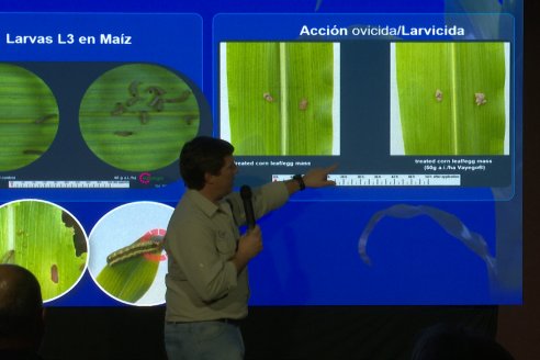 Lazamiento VAYEGO de Bayer para Entre Rios y Santa Fe - Hotel Howard Johnson, Paraná