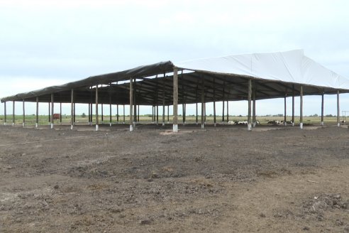 En Establ. San Miguel - Caproler lanzó la 2° Jornada de la Cadena Láctea de Entre Ríos