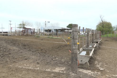 En Establ. San Miguel - Caproler lanzó la 2° Jornada de la Cadena Láctea de Entre Ríos