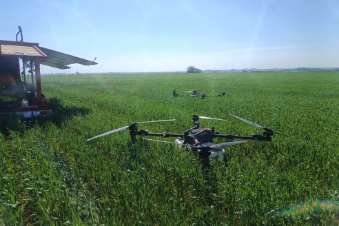COOPAR amplía su capacidad de trabajo con un segundo dron aplicador