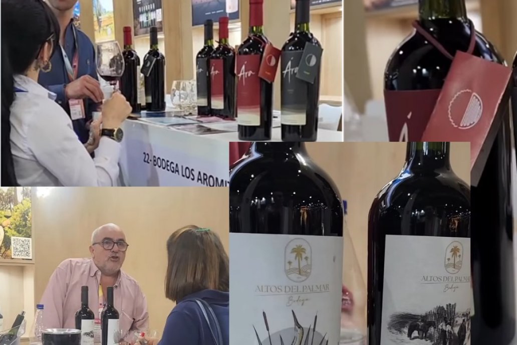 Viñedos entrerrianos en Prowine San Pablo 2026