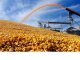 Proyectan exportaciones récord del agro en 2027