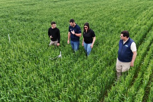 Ensayo Nanourea NUP de Philagro en trigo - Arroyo Clé, Departamento Tala