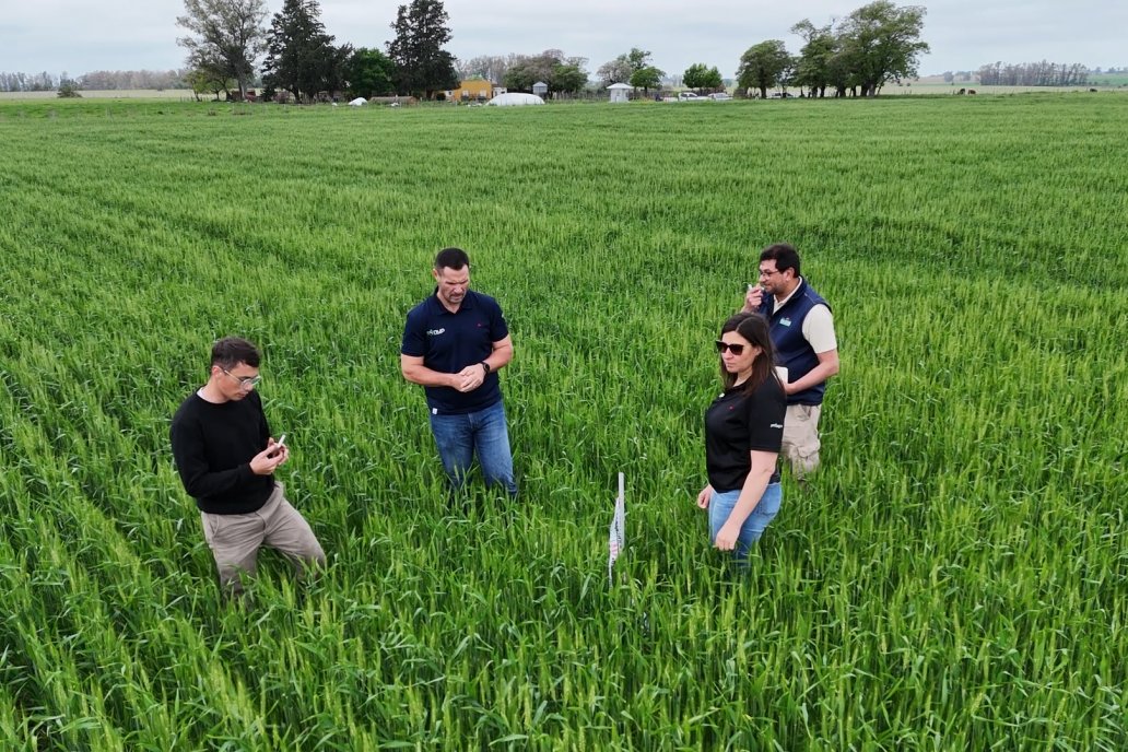 NUP de Philagro: la nanotecnología que busca transformar el uso del nitrógeno