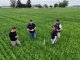 Nanotecnología que transforma el nitrógeno en agricultura