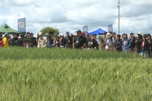 1° Fiesta Provincial del Trigo - Chacra 100 - Valle Maria, Entre Ríos