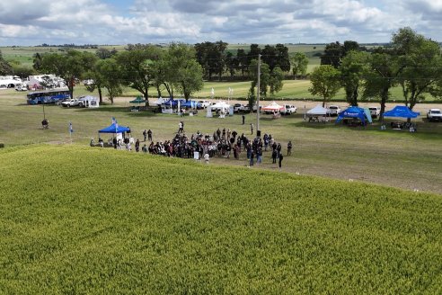1° Fiesta Provincial del Trigo - Chacra 100 - Valle Maria, Entre Ríos