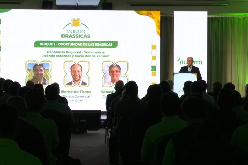 1° Simposio Mundo Brassicas en Paraná organizado por Nufarm
