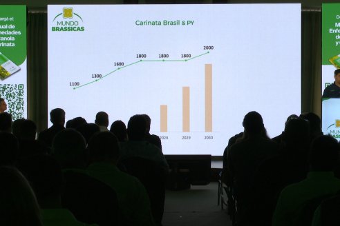 1° Simposio Mundo Brassicas en Paraná organizado por Nufarm