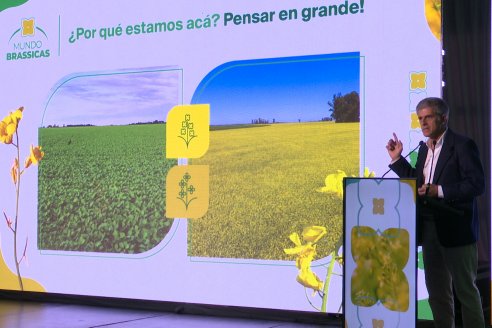1° Simposio Mundo Brassicas en Paraná organizado por Nufarm