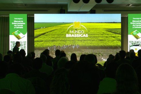 1° Simposio Mundo Brassicas en Paraná organizado por Nufarm