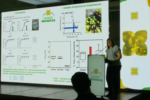 1° Simposio Mundo Brassicas en Paraná organizado por Nufarm