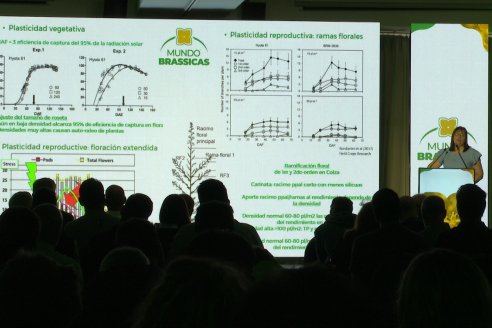 1° Simposio Mundo Brassicas en Paraná organizado por Nufarm