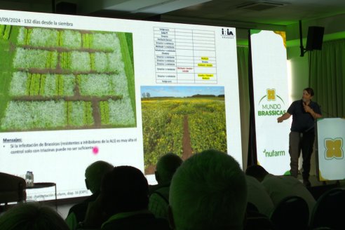 1° Simposio Mundo Brassicas en Paraná organizado por Nufarm