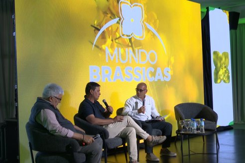 1° Simposio Mundo Brassicas en Paraná organizado por Nufarm