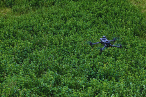 Desarrollan una herramienta para detectar maleza con dron comercial