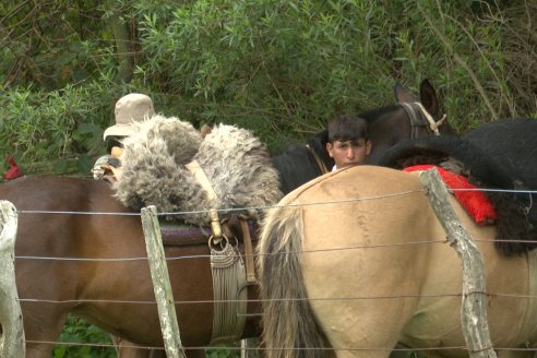 Osvaldo Mayr - Isla El Peluquero - Traslado de hacienda a tierra firme