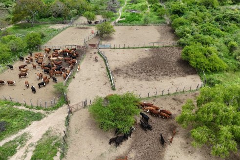 Osvaldo Mayr - Isla El Peluquero - Traslado de hacienda a tierra firme